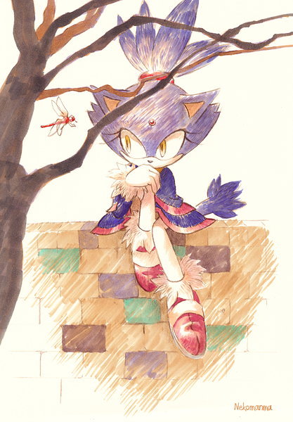 秋ブレイズ