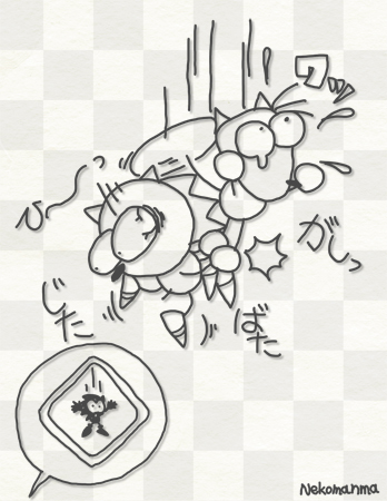 落ちる〜うっ!! 落ちる〜うっ!!