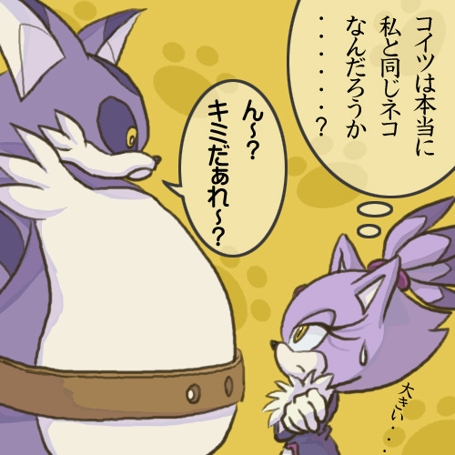 ネコの日