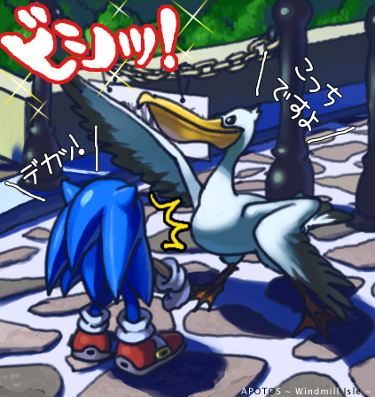 ペリカン可愛い